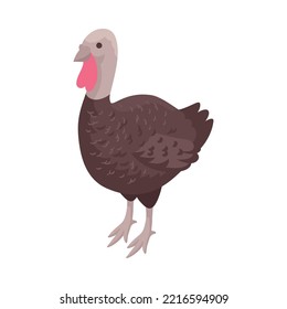 Isometric turkey hen on white background 3d vector illustration
