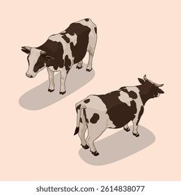 Isometric two Cows vector illustration