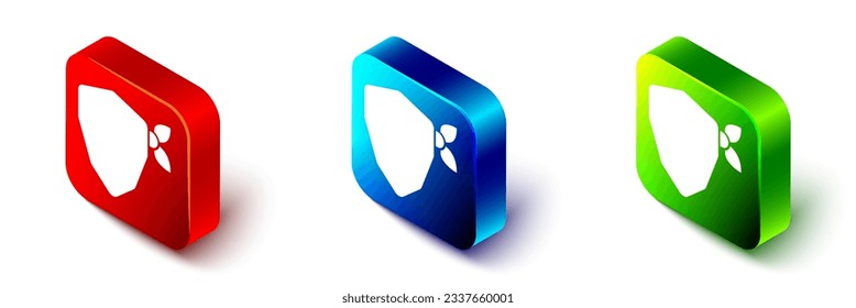 Isometric Vandal icon isolated on white background. Red, blue and green square button. Vector