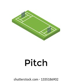 
Isometric vector of cricket pitch icon 
