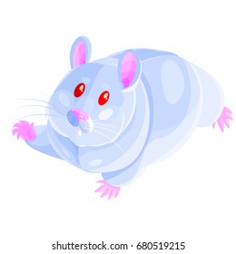 Isometric vector cute little hamster character,  albino color pet.