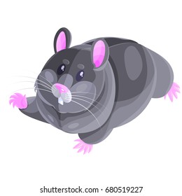 Isometric vector cute little hamster character, gray color pet.