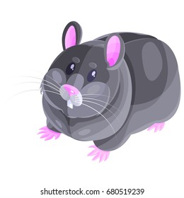 Isometric vector cute little hamster character, gray color pet.