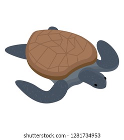 Isometric  vector icon of sea turtle 