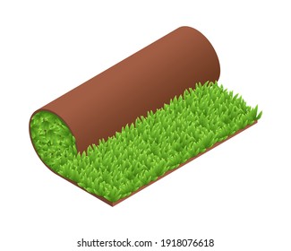 Isometric vector illustration green grass turf roll isolated on white background. Realistic carpet lawn grass icon in flat cartoon style. Artificial rolled green grass. Lawn roll with brown soil.