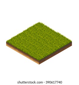 Isometric Vector Illustration Of Green GrassFor Web, Print, Mobile and GUI