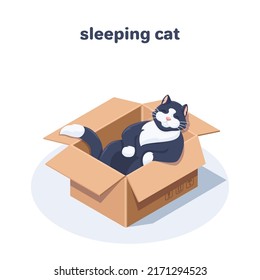 isometric vector illustration on white background, cat sleeping in a cardboard box, pets in everyday life