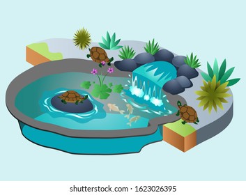 Isometric Vector Illustration Representing A Turtle Pond with Small Waterfall and Some Plants on it and Showing the Bottom of the Pond