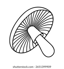 Isometric vector illustration of a single amanita mushroom with a detailed cap and stem, showcasing a unique line art style perfect for design projects needing a nature-inspired element.