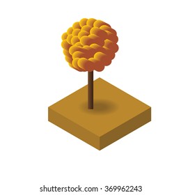Isometric Vector isolated autumn tree for your design.