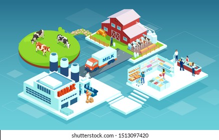 Isometric vector of a milk produce production chain from a dairy farm through factory to consumer on a supermarket shelves