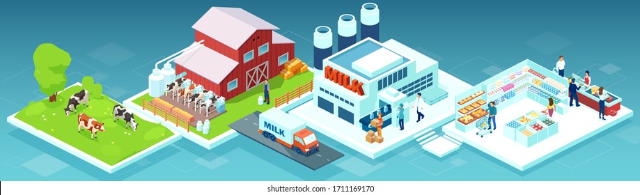 Isometric vector of a milk produce production chain from a dairy farm through factory to consumer on a supermarket shelves