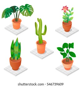 Isometric vector plants for room set. Isometric world interior.