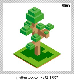 Isometric vector tree icon for forest, park, city. Landscape constructor for game, map, prints, ets. Isolated on white background.