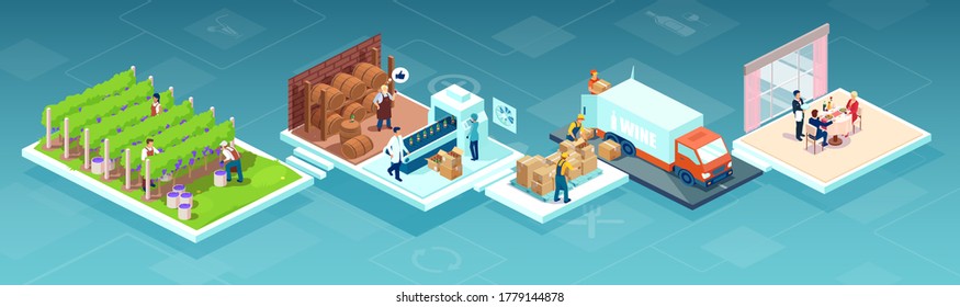 Isometric vector of a wine production process, production beverage from grape, chain from a vineyards farm through factory to consumer on a supermarket shelves or restaurant 