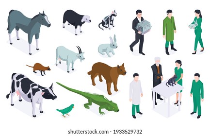 Isometric veterinary color icon set with different type of animals and doctors vector illustration