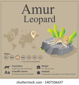 Isometric view of Amur Leopard Infographic