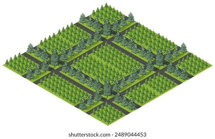 Isometric view of a city park with a square pattern of trees and paths, creating a peaceful and organized green space