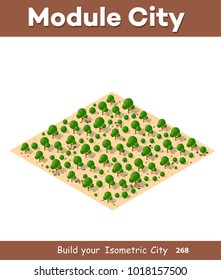 Isometric view of a city town in the desert natural landscape