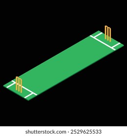  isometric view of a cricket pitch