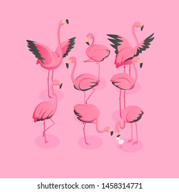 Isometric View Of Flock Of Flamingos