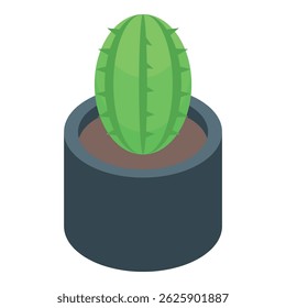 Isometric view of a green cactus growing in a pot, representing houseplant care and interior decoration