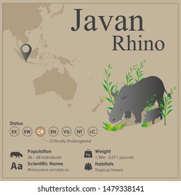 Isometric View Of Javan Rhino Infographic