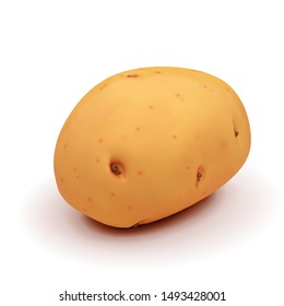 Isometric view of one yellow-brown cartoon potato with small dark sprouts lies on white floor and cast smooth shadow. Vector illustration in 3d render style.