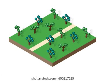 Isometric view projection summer landscape.