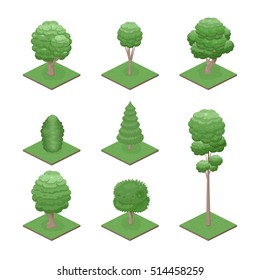 Isometric view summer trees. Green trees icon. City plants set. Game design. Vector illustration.