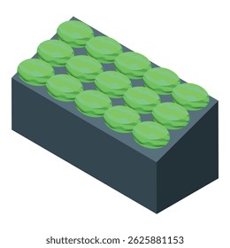 Isometric view of a watermelon greenhouse plantation growing organic food for a small business