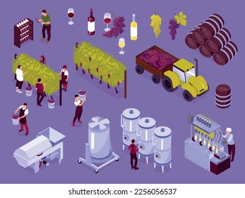 Isometric vineyard color icon set wooden and iron wine barrels picking grapes from trees choosing the best bottle in the cellar glass of wine vector illustration