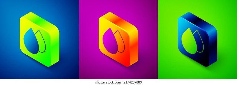 Isometric Water drop icon isolated on blue, purple and green background. Square button. Vector