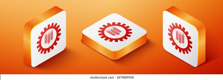 Isometric Wheat and gear icon isolated on orange background. Agriculture symbol with cereal grains and industrial gears. Industrial and agricultural. Orange square button. Vector.