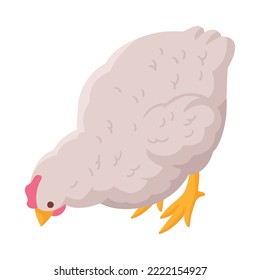 Isometric white hen on blank background 3d vector illustration