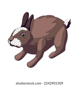 Isometric wild brown hare on white background 3d vector illustration