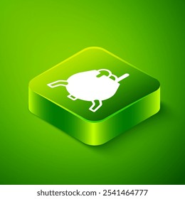 Isometric Witch cauldron icon isolated on green background. Happy Halloween party. Green square button. Vector