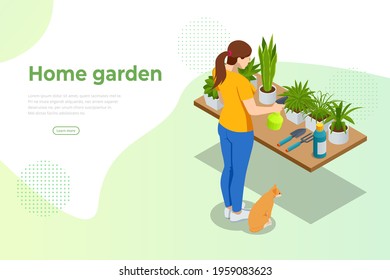 Isometric woman grows flowers in home garden. Planting flowers. Nature concept. Earth day concept. Dive flower sprouts into individual pots.