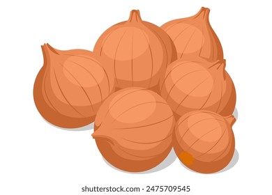 Isometric yellow onion or brown onion, isolated on white background. Onions contain quercetin, are rich in vitamins, and fight viruses. It is a healthy and nutritious food.