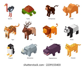 Isometric zoo animals. Low poly panda, penguin toy and tiger. Herbivores and predatory wild animal 3D cartoon vector set of zoo isometric illustration illustration