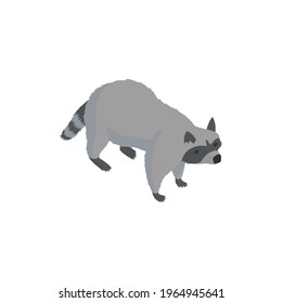 Isometric zoo composition with isolated character of raccoon on blank background vector illustration