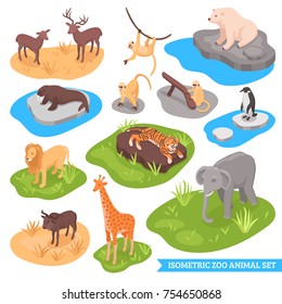 Isometric zoo decorative icons set of animals living in african arctic and asian wilderness isolated vector illustration 