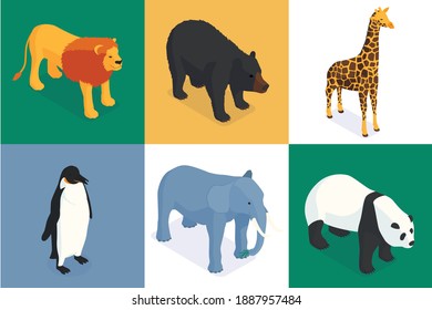 Isometric zoo design concept with set of square compositions of exotic animals on colourful solid background vector illustration