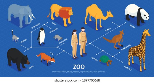 Isometric zoo infographics with isolated human characters exotic animals of various climate zones and text captions vector illustration