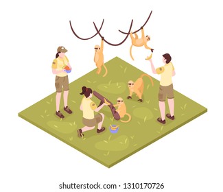 Isometric zoo workers composition on white background with tropical monkeys and group of zoo keeper characters vector illustration