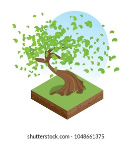 isometry of a bonsai tree