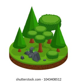 Isometry of a forest range of trees and conifers, an excellent landscape for games, beautiful stones with grass