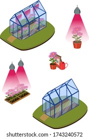 
isometry greenhouse with seedlings white background