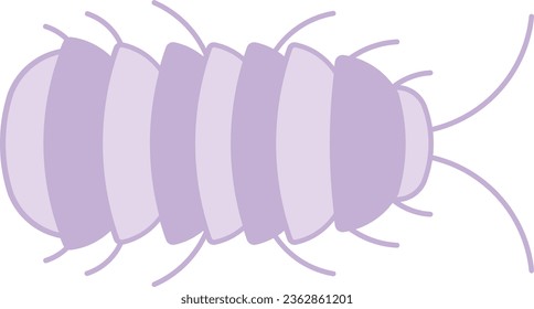 Isopod pill bug caterpillar insect bug