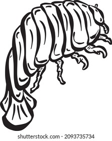 Isopod Woodlouse Illustration Logo Sea Creature